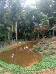 Sitio Lady Laura Biritiba Ussu Mogi