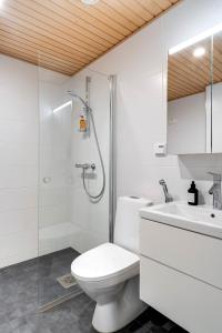 Simple studio for two in Turku Center