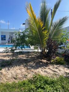Ajo Apartment