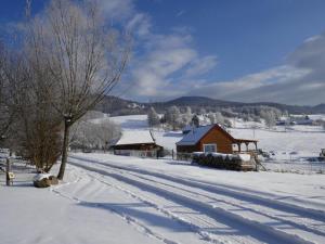 Tiny House at Sedliacky Dvor - Brezno