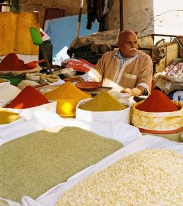 Comfortable holiday apartment