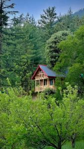 Jibhi Pine Nature Tree house