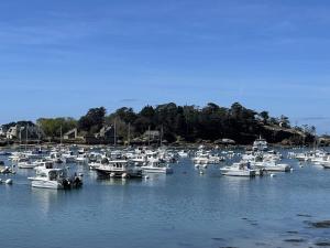 Maison bretonne à Ploumanach, 280m de la plage, jardin, parking, 5 chambres - FR-1-368-401