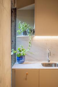 Charming Blue Apartment