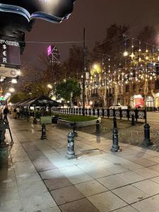 Rustaveli Avenue Apartments 18