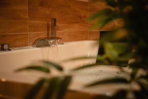 La Canopée, Jungle Room Suite de Luxe - Jacuzzi Sauna