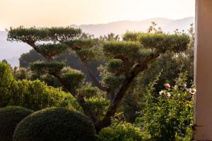 Myrtes - Villa 220m2 Piscine Cuisine Salon ext Sunset