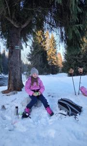 Willa Pod Górską Lawendą