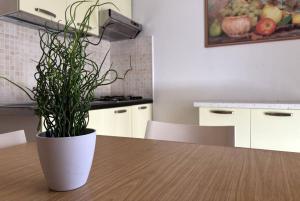 Nice studio with side sea view