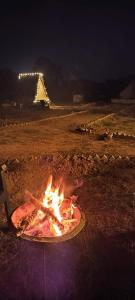 Bamboo A-Frame Camping at Khajuraho Farm Stay