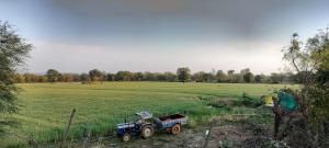 Bamboo A-Frame Camping at Khajuraho Farm Stay