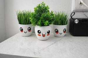 Our dream home
