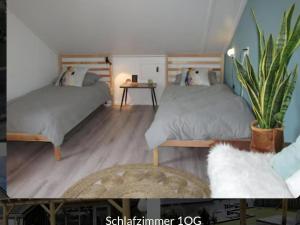 Park De Markol Love Lemmer