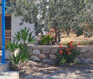 Syros Mandala Studio