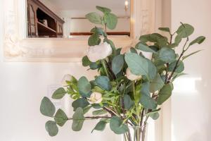 Maçãs beach sea view