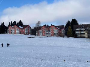 Apartment Gosch an der Skiwiese
