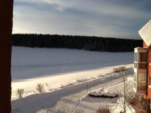 Apartment Gosch an der Skiwiese
