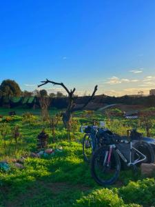 lexpérience Berbère