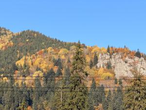 Spiralwood Boutique House