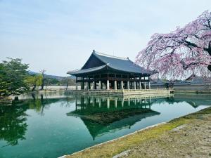 Maison Lumière in Gangnam