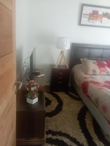 Hermosa casa residencial Castro chiloe