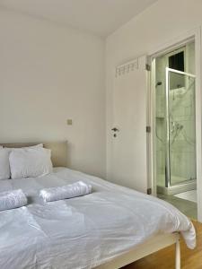 Spacious Apartment for 6 near Center of Brussels