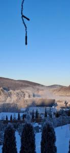 Chaty Trzy 731-950-635