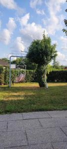 Ferienhaus Vogelsberg