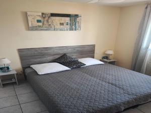 Villa climatisée avec piscine et jardin à 300m des marchés et commerces, proche plage. - FR-1-782-56