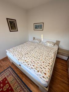 Útulný apartmán v Jizerkách