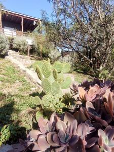 Cabañas de montaña