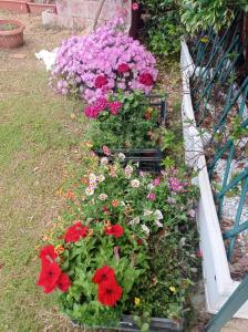 Villa di Cristina img51