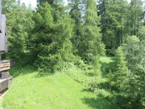 Studio 5 pers à 150m des pistes, animaux admis - FR-1-322-671