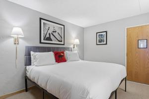 Lift House Air-Conditioned Studio, Steps to Lionshead Gondola,