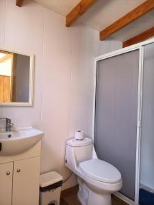 Cabañas Flores de Coñaripe