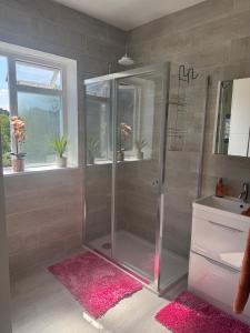 Jett Joy Pet friendly