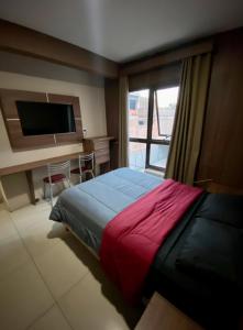 Mendoza Centro Depto Perro