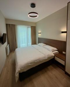 crystal residence bakuriani #104