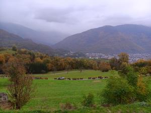 La Chambre Bleue - SdB Privative - Spécial Déplacement