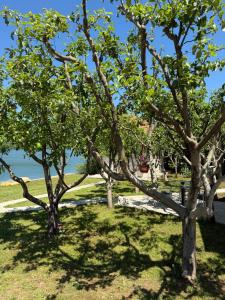 Apartmani Kod Draskovica