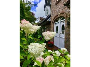 Holiday home in Wyk Föhr with swimming pool