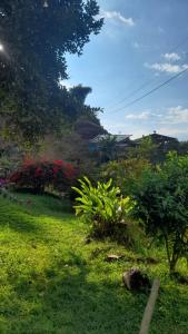 La Rana Azul - Hospedaje rural