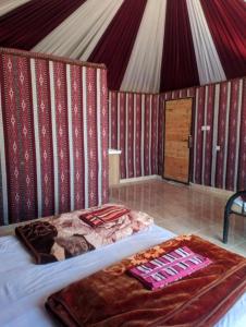 Wadi rum camp