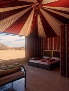 Wadi rum camp