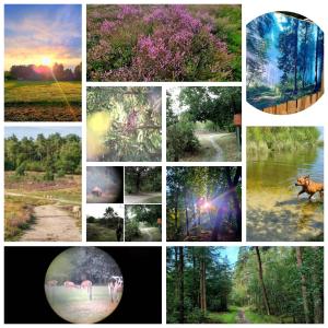 Huisje Boslust, in de natuur op een rustig park