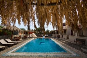 Birds Villa Apartments with Heated Pool - Including Car and Breakfast