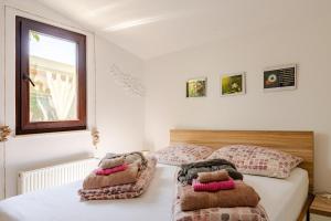 Green house Peroj, WI-FI, FREE PARKING, GARDEN, HOT TUBE, PET FRIENDLY