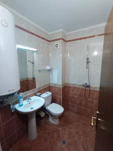 Студио Студенец