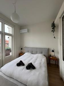 Modern & Luxurious stay Haarlem