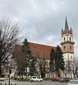 Apartament Cozy și Luxos , Recent Renovată, ideală pentru Cazare Hoteliera